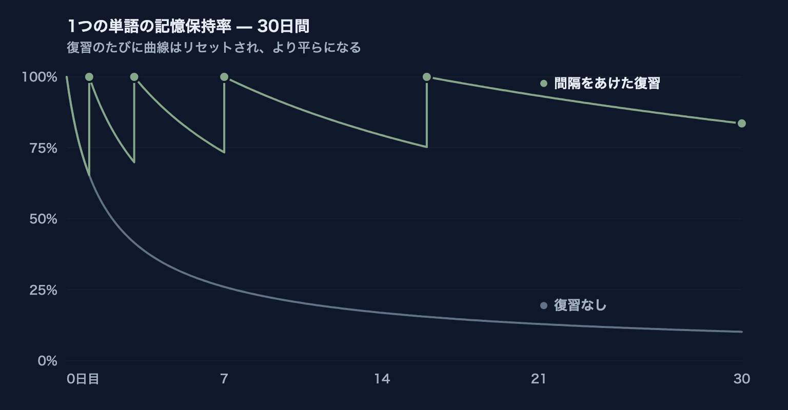 復習ありとなしの忘却曲線の比較。復習なしでは1週間以内に記憶保持率が30%を下回り、間隔をあけた復習のたびに保持率はリセットされ、減衰は平らになっていく