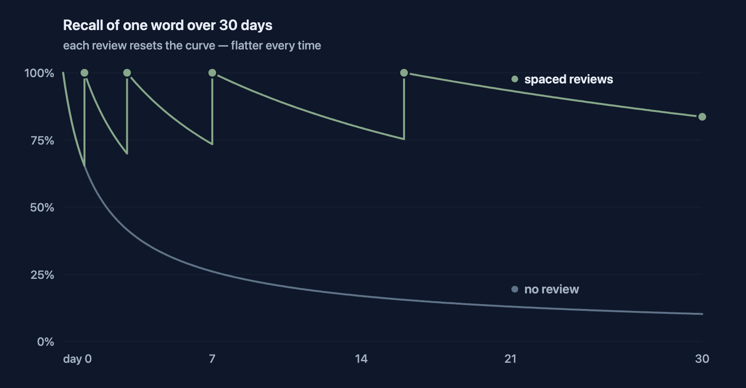 Forgetting curves with and without spaced reviews: without review recall falls below 30% within a week; each spaced review resets recall and flattens the decay