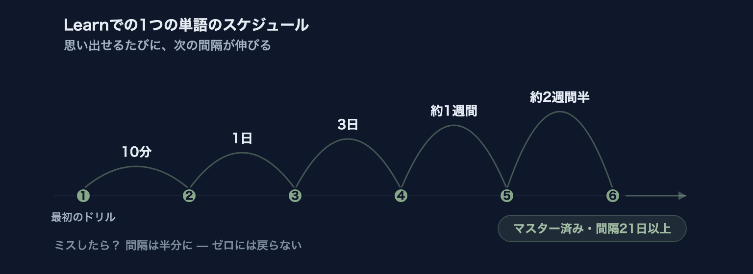 1つの単語の復習スケジュール。10分、1日、3日、約1週間、そして数週間 — 思い出せるたびに次の間隔が伸び、最終的にマスター済みになる