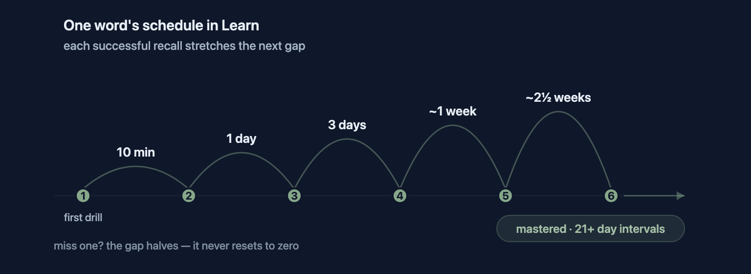 One word's review schedule: 10 minutes, 1 day, 3 days, about a week, then weeks — each successful recall stretches the next gap until the word is mastered